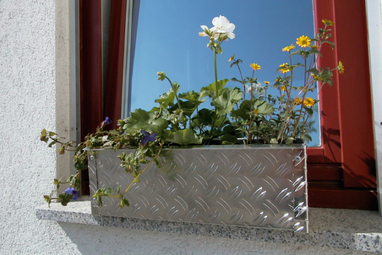 A778_BLEC_Blumenka-780x520.jpg